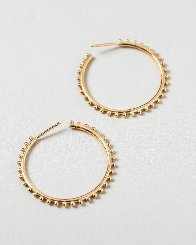 Sunbow Hoop Earrings